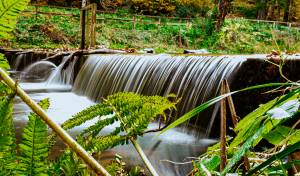 Régis GUEGUEN - Réphoto