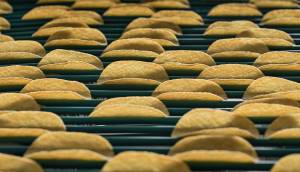 Frédéric FLAMEN - OCEAN PRODUCTION